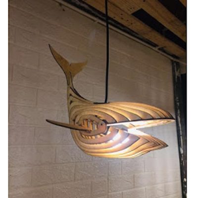Lamp Shark